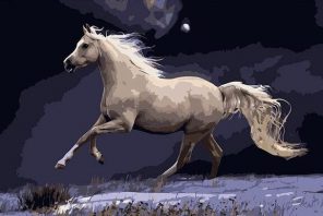 Galloping White Horse adult paint by numbers