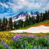 Ice In The Spring Landscape Paint By Numbers