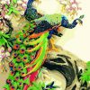 Couple of Peacock Birds Paint By Numbers