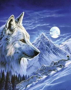 Full moon wolf paint by numbers