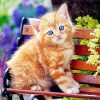 Ginger Sweet Cat paint by numbers