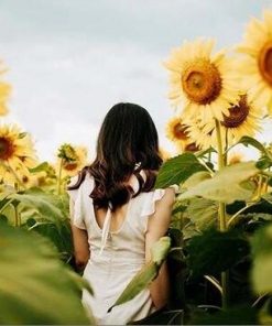 Girl In Sunflower Field paint by numbers