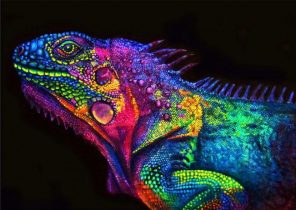 Glowing Chameleon paint by numbers