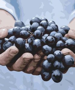 Grapes in The Hand paint by numbers