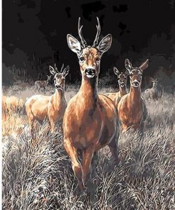 Grassland Deers paint by numbers