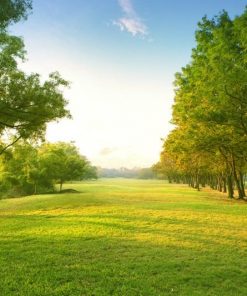 Green Grass and Trees paint by numbers