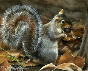 Grey Squirrel paint by numbers