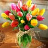 Colourful Tulips  Flowers Paint By Numbers