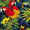 Macaw African Parrots paint by numbers