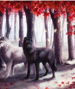 Black & White Wolves Animals Paint By Numbers