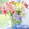 Colored Flowers  Flowers Paint By Numbers