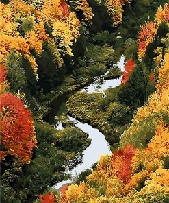 Porcupine River Forest paint by numbers