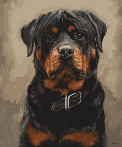 Black Dogs Home Decors - DIY Paint By Numbers - Numeral Paint