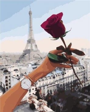 Red Rose Paris paint by numbers