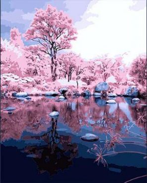 Reflection of pink woods paint by numbers