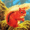 Squirrel paint by numbers