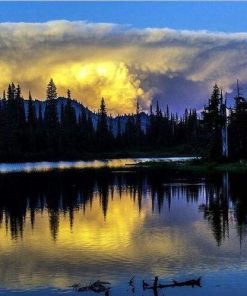 Trees Reflection On Lake paint by numbers