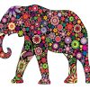 Floral Elephant Animals Paint By Numbers