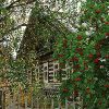 Cabin in Woods And Flowers Landscape Paint By Numbers