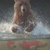 Bear Catching Fish Animals Paint By Numbers