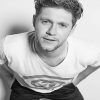 Niall Horan Black and white NEW Paint By Numbers