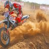 Red Dirt Bike NEW Paint By Numbers
