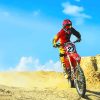 Red Dirt Bike Desert NEW Paint By Numbers