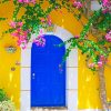 Blue Door With Flowers NEW Paint By Numbers