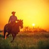 Cowboy Sunset Silhouette NEW Paint By Numbers