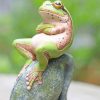 Frog Relaxes On A Rock NEW Paint By Numbers