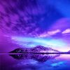 Beautiful Purple Sky NEW Paint By Numbers