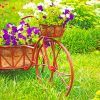 Bicycle Garden Flower NEW Paint By Numbers