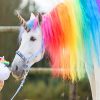 Cute Unicorn NEW Paint By Numbers