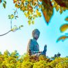 Tian Tan Buddha Hong Kong NEW Paint By Numbers
