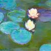 Claude Monet waterlilies NEW Paint By Numbers