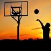 Man Basketball Silhouette NEW Paint By Numbers