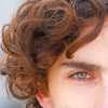 Timothee Chalamet Eye NEW Paint By Numbers