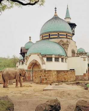 Budapest Zoo paint by numbers