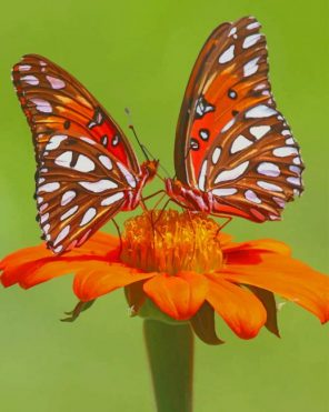 Orange Monarch Butterfly paint by numbers