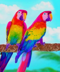 Rainbow Parrots paint by numbers