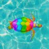 Rainbow Sea Turtle paint by numbers