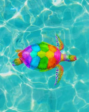 Rainbow Sea Turtle paint by numbers