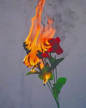 Rose On Fire paint by numbers