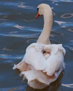 Swan In Lake paint by numbers