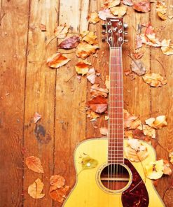 Autumn Guitar paint by numbers