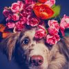 Dog With Flower Crown paint by numbers