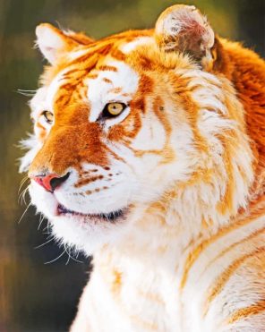 Golden Tiger paint by numbers