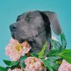 Great Dane With Flowers Crown paint by numbers