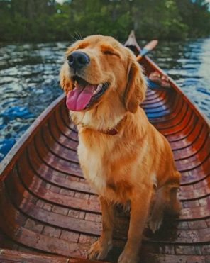 Happy Puppy On A Boat Paint by numbers