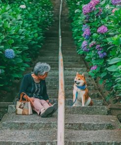 Japanese Old Woman With Her Bestie Paint by numbers